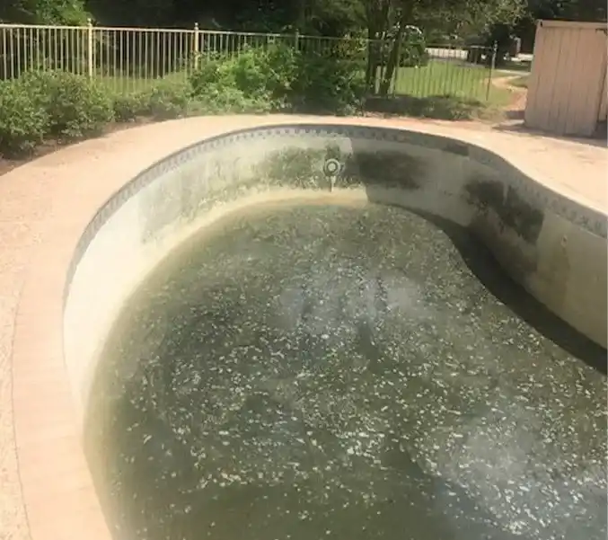 Swimming Pool Construction